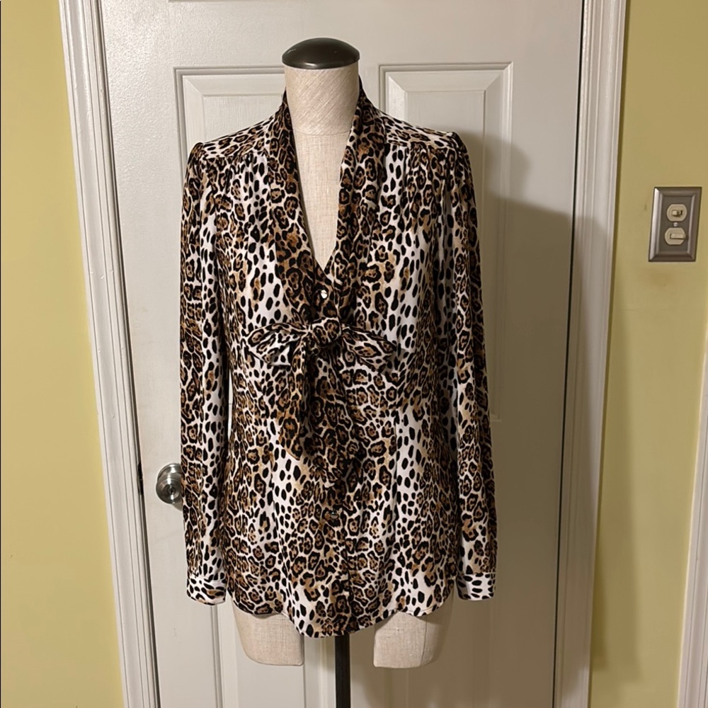 Leopard Print Long Sleeve Blouse